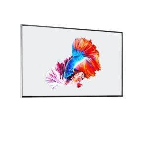 TR55 Paneles de Vidrio OLED Transparentes