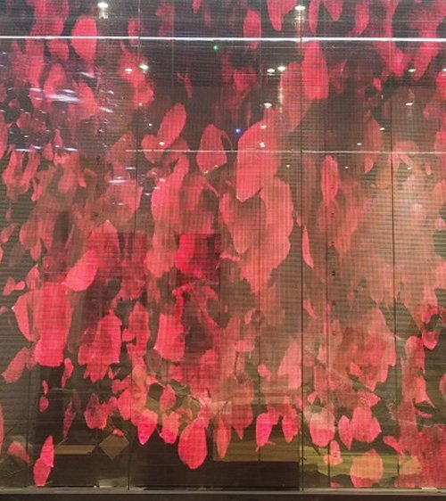 Transparent-LED-video-wall-installation
